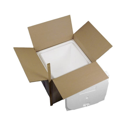 Biotherm Dry Ice System A, 38.5 x 38 x 39.5 cm